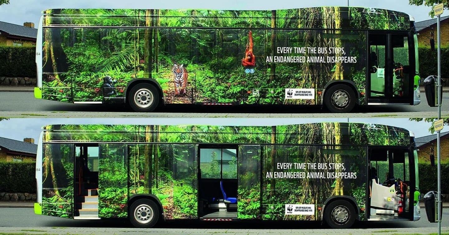 Quảng cáo xe bus cảnh báo tốc độ biến mất của các loài động vật có nguy cơ tuyệt chủng
